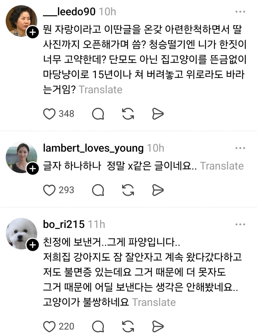 고양이 때문에 불면증 생겼다는 아줌마_4.webp