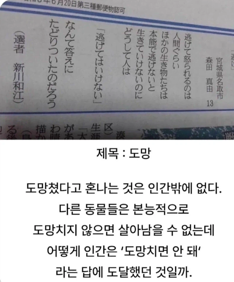 13살 일본아이가 쓴 글_1.webp