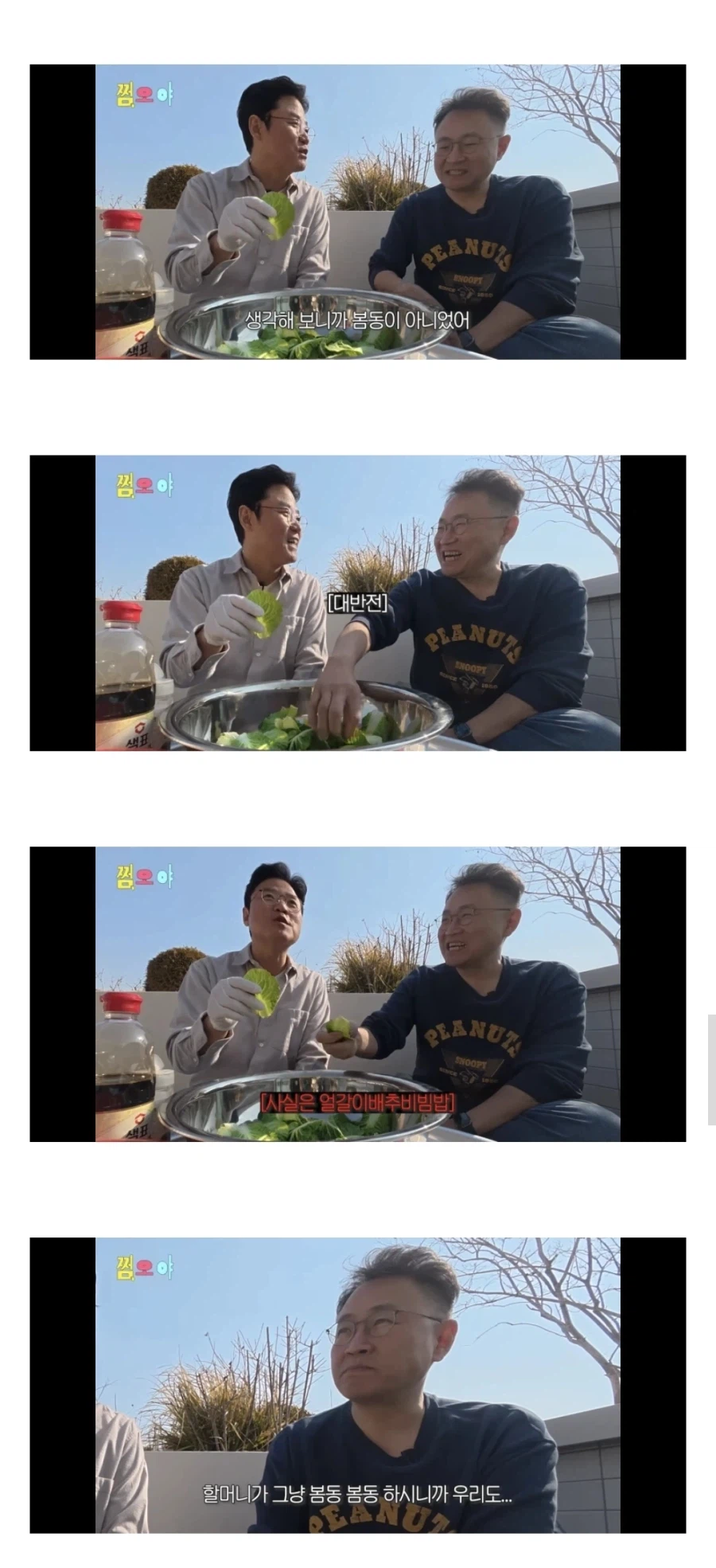 강호동이 먹은건 봄동 아니라고 주장했던 열사.jpg_2.webp