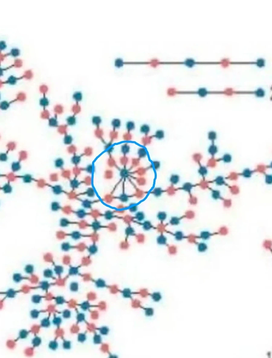 미국 고등학교 성관계 실태조사.jpg_2.webp