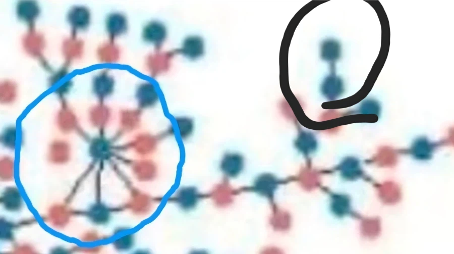 미국 고등학교 성관계 실태조사.jpg_3.webp