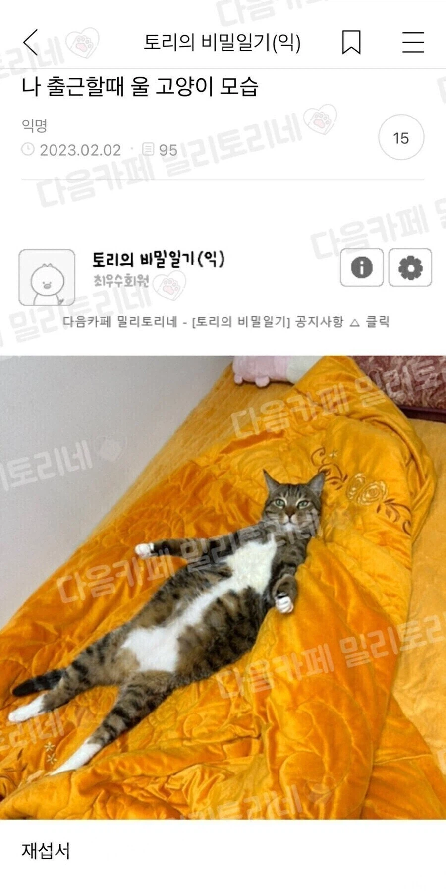 나 출근할때 울 고양이 모습_1.webp