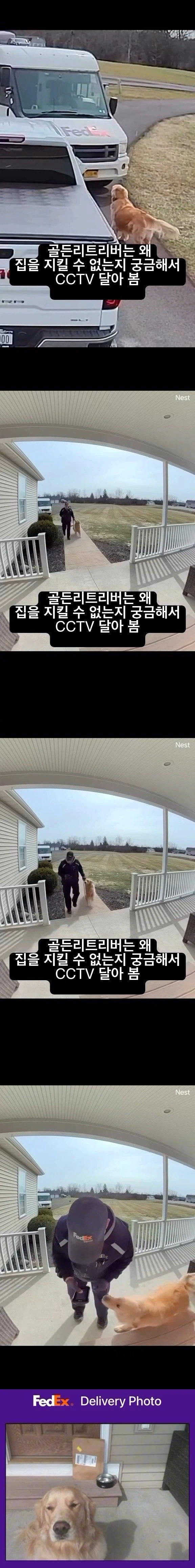 골댕이는 집을 지킬수 없다 jpg._1.webp