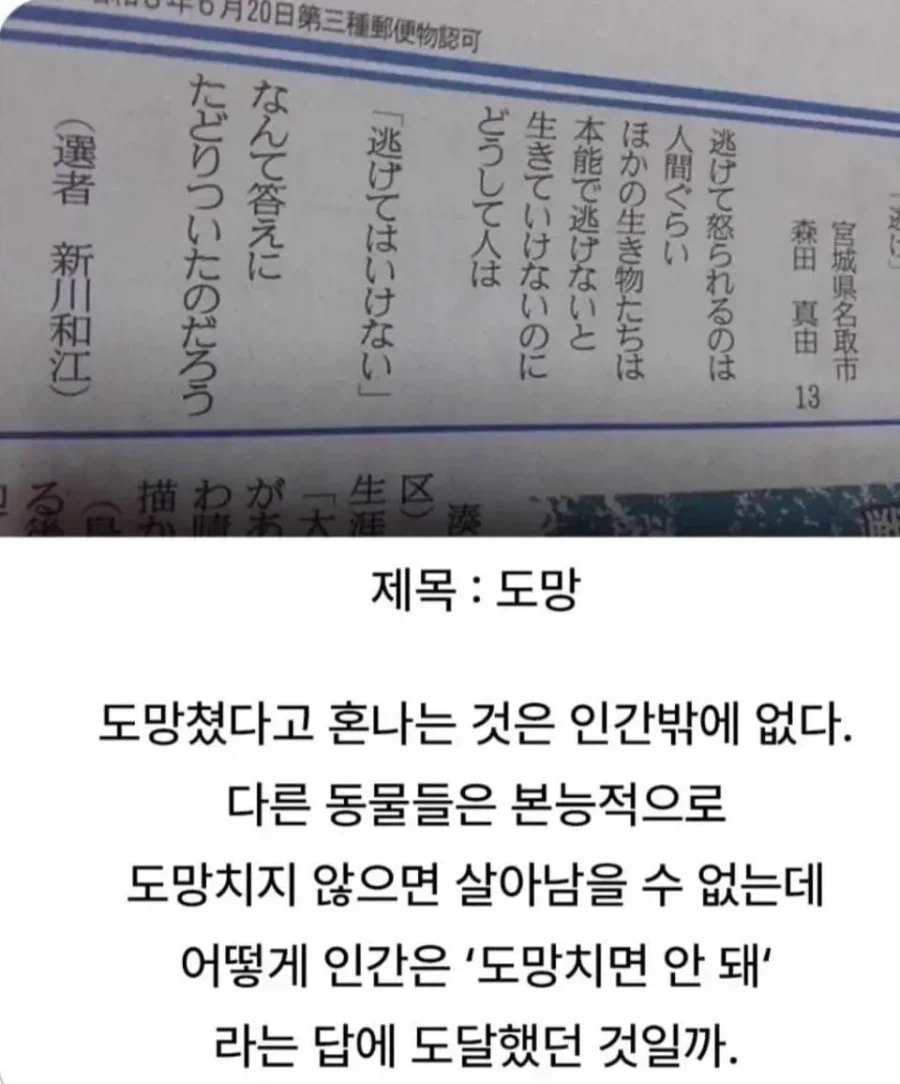 도망치면 안돼...._2.webp