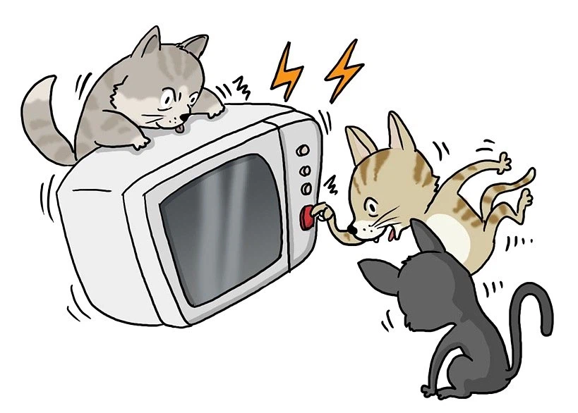 사람들이 잘못알고 있는 미국의 도시전설_1.webp