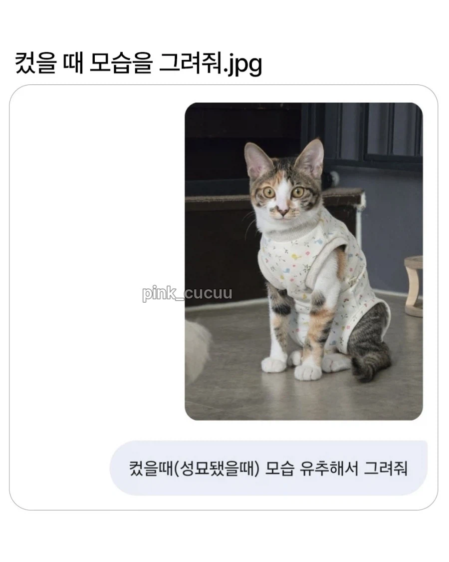 ai야 고양이가 컸을때 모습을 그려줘.jpg_1.webp