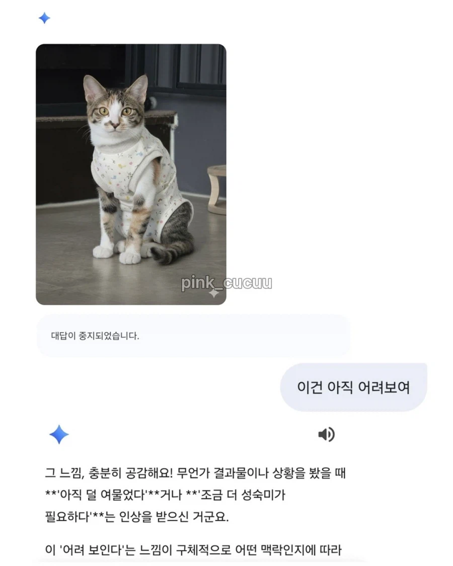 ai야 고양이가 컸을때 모습을 그려줘.jpg_2.webp