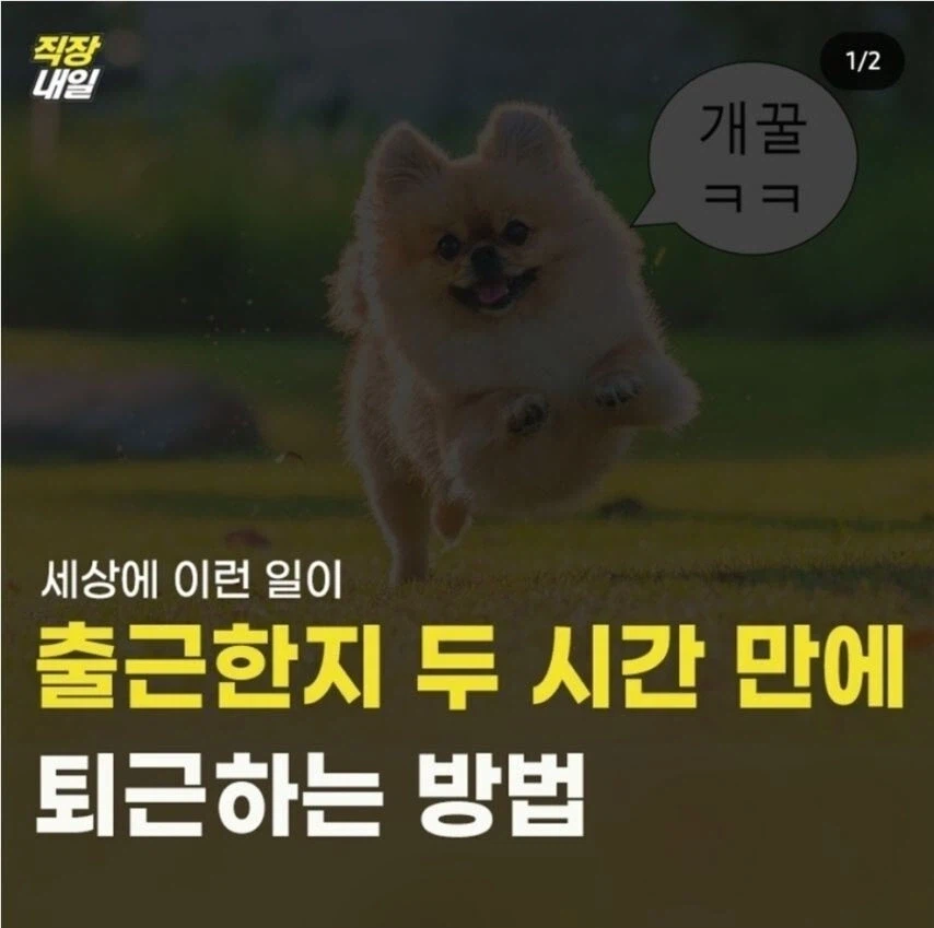 출근한지 두 시간 만에 퇴근하는 방법_1.webp