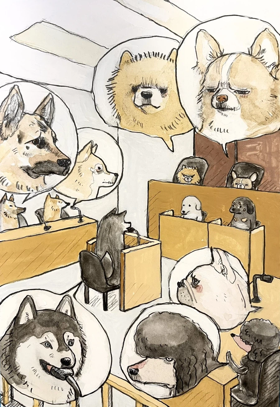 개같은 법정 풍경.jpg_1.webp