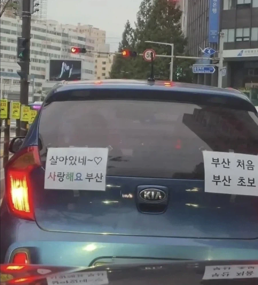 부산에 처음간 운전자_1.webp