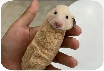 음..길이 두께 온도.. 모두 적당하군_1.webp