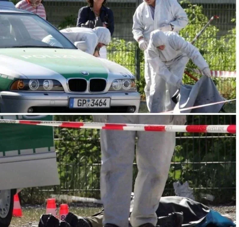 17년간 수많은 범죄현장에서 발견된 여성_1.webp