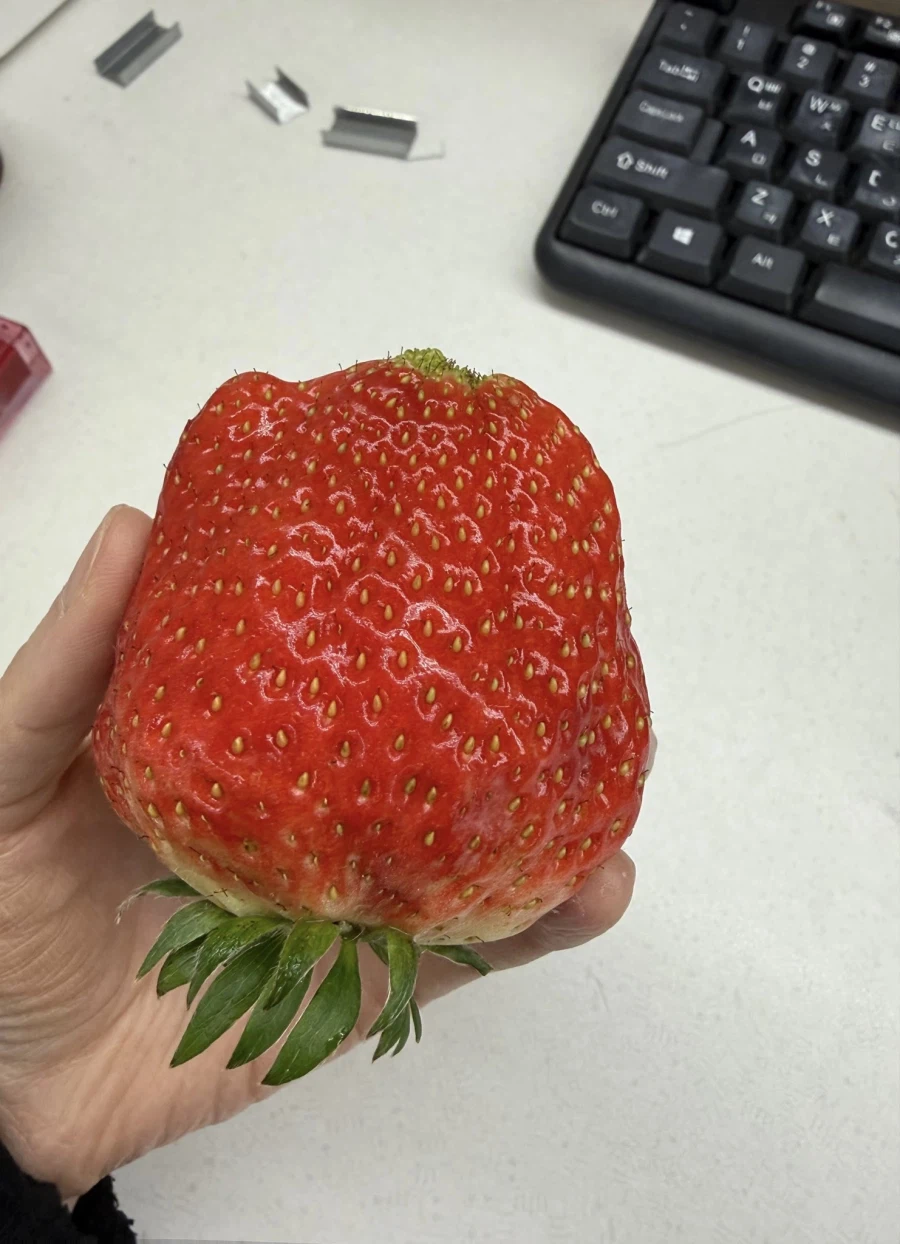 현대판 렘바스_1.webp