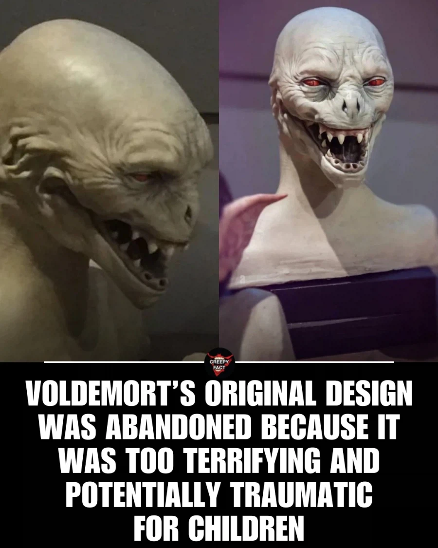 혐) 해리포터 영화에서 볼드모트 초기 디자인이 폐기된 이유_1.webp