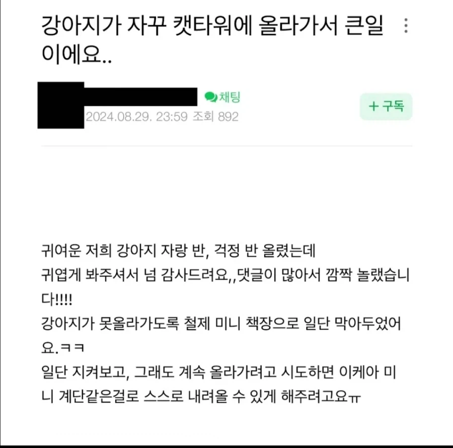 강아지가 자꾸 캣타워에 올라가서 큰일이에요._1.webp