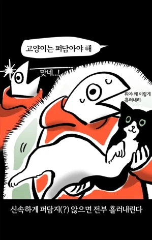 고양이를 처음 안아본 강아지 주인의 후기.jpg_1.webp