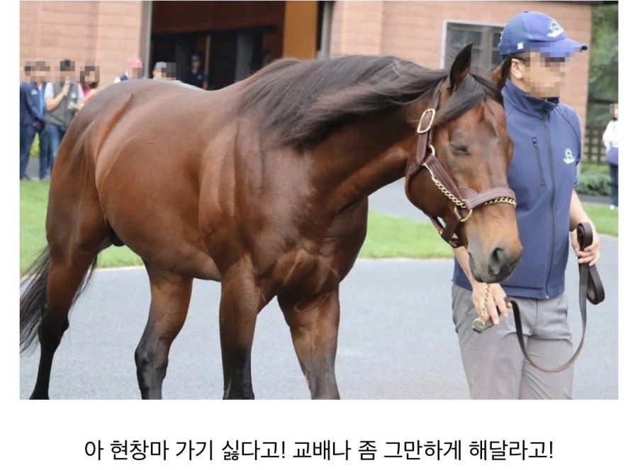 모든걸 쥐어짜인 남자의 표정_1.webp