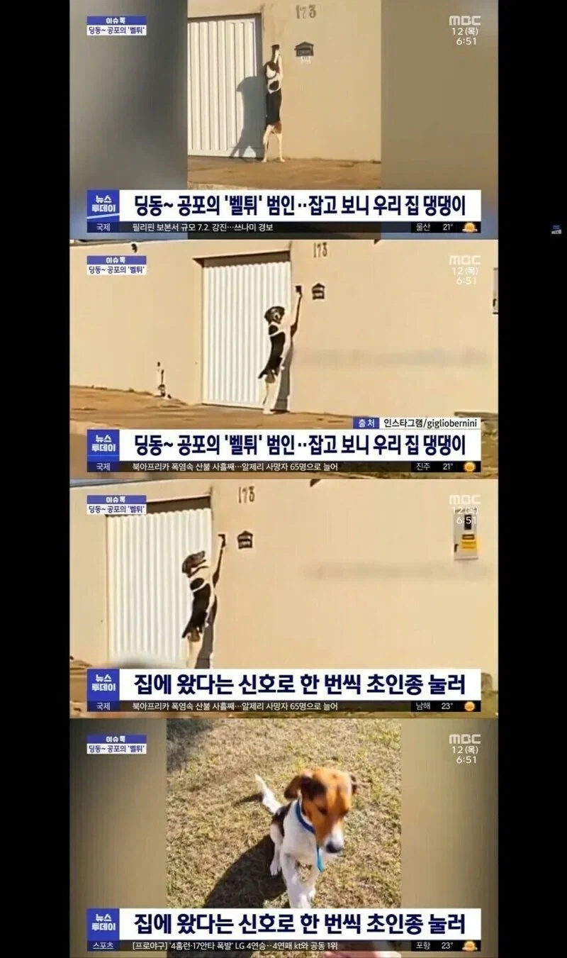 공포의 벨튀 범인_1.webp