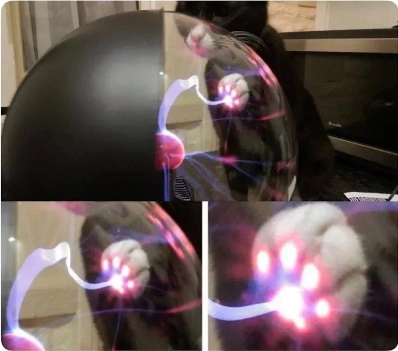 세잇빠~이 빛나는 썬더 냥젤리_1.webp