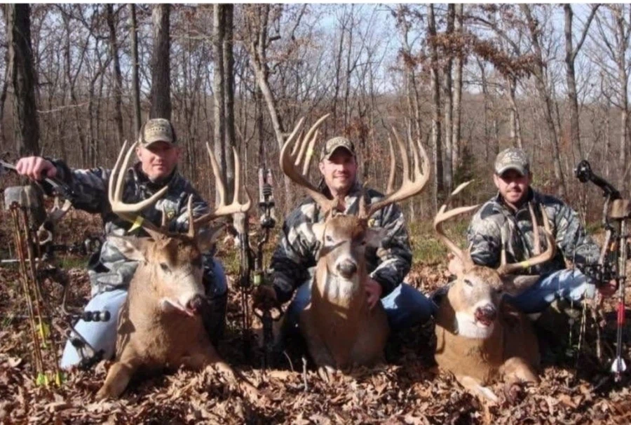 서양 왕사슴가이즈.jpg_1.webp