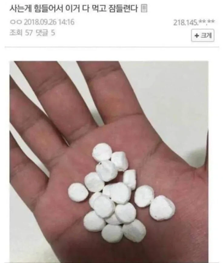 사는 게 힘들어서 이거 먹고 잠들련다..._1.webp