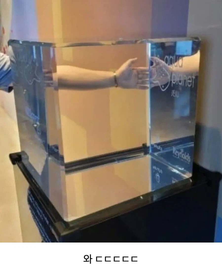 사람들이 잘 모른다는 아쿠아리움 유리 두께.jpg_2.webp