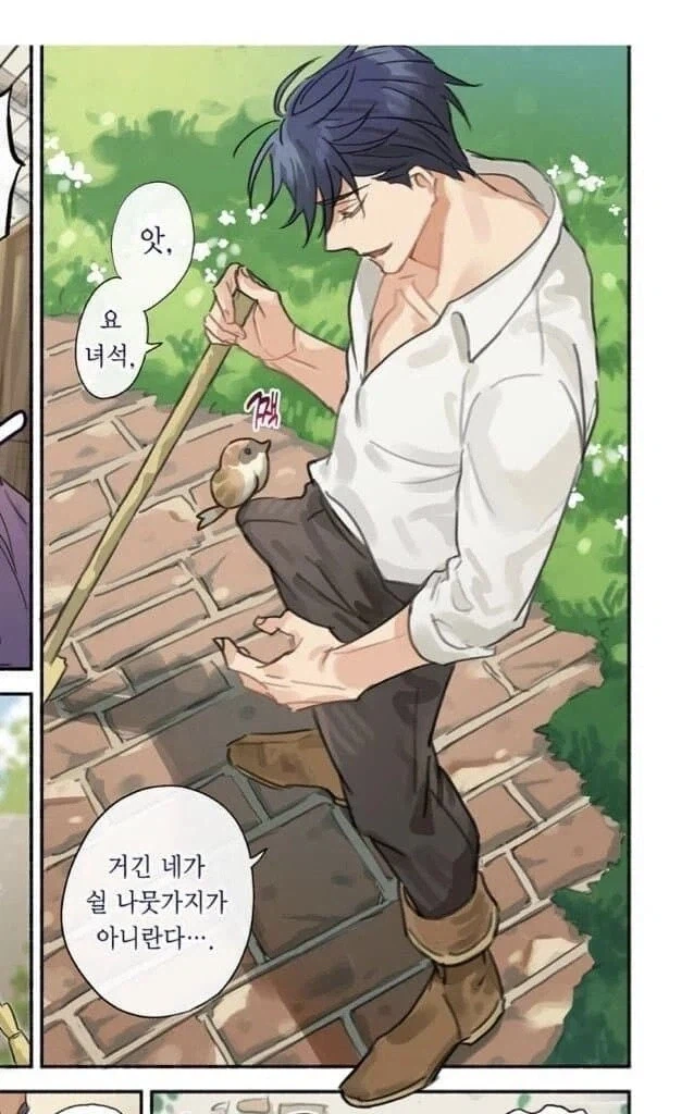 의외로 새가 앉아 쉴 수 있는 곳_1.webp