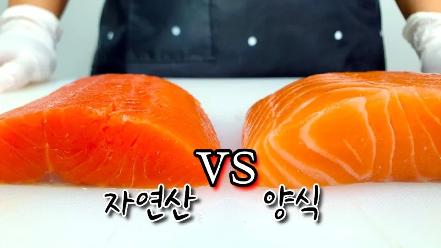 의외로 자연산은 사람들 취향에 안맞을 음식_1.webp