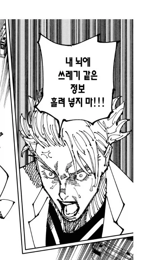 주술회전 내 뇌의 쓰레기 같은 정보 특징_5.webp