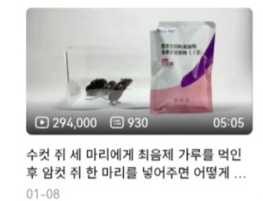 방금 이상한 실험 영상을 봤다_1.webp