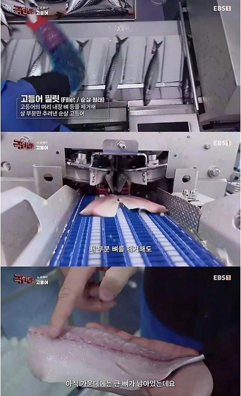 노루길의 한국 특성화 사업._2.webp