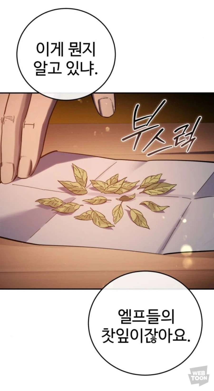 엘프의 ㅁㅇ_1.webp