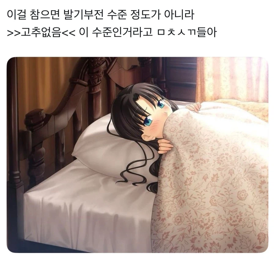 페이트)?? : 이게 안 꼴려?_1.webp