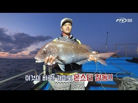 절대 망할수가 없다는 tv 채널_1.webp