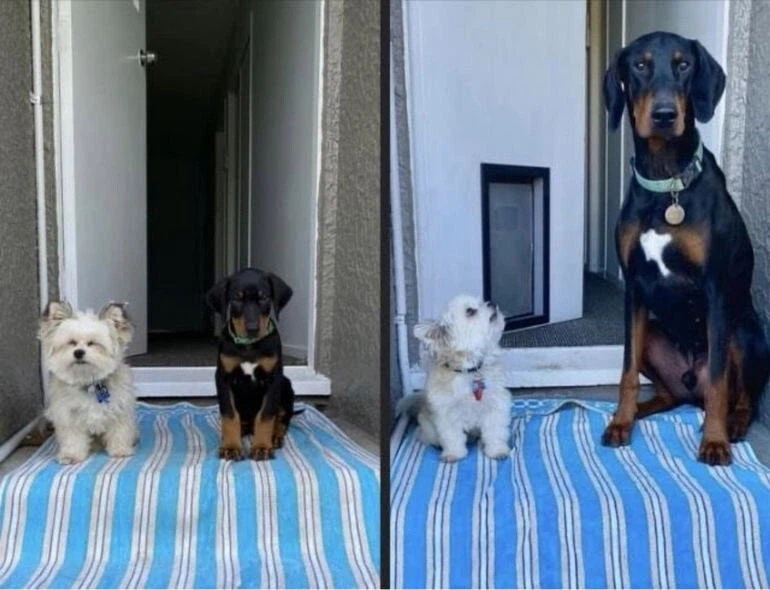 크면 결혼하기로 한 소꿉친구_1.webp