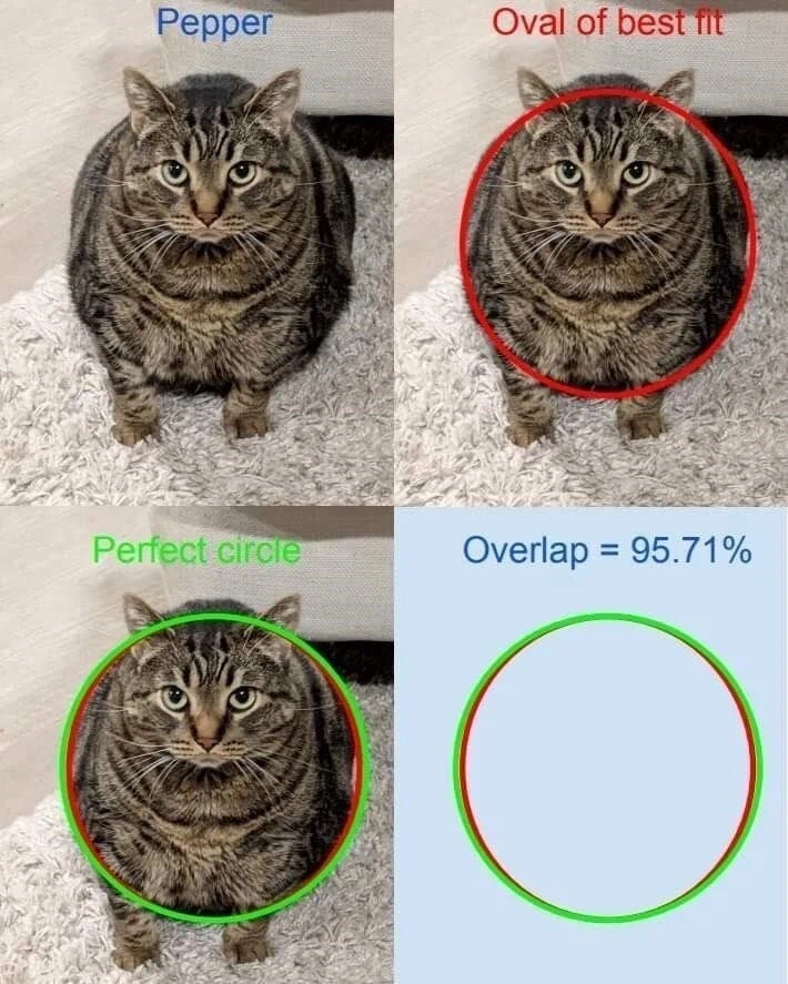 의외로 95.71% 원인것_1.webp