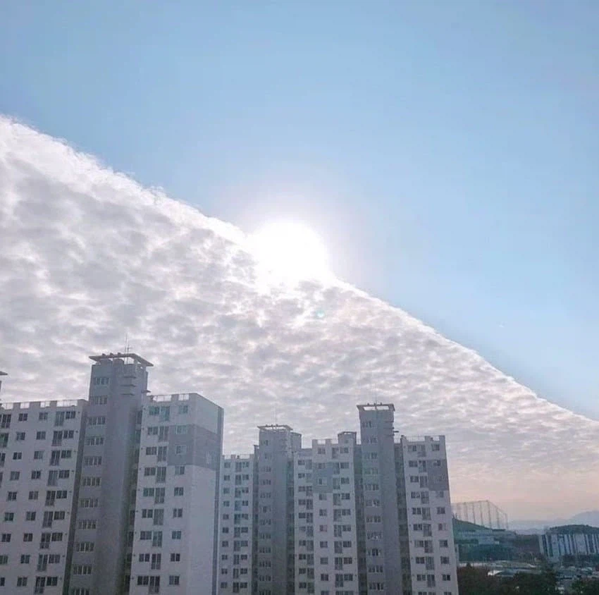 하늘.. 갈랐다고_1.webp