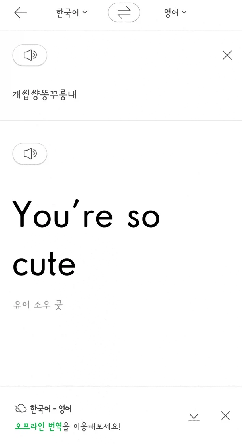 번 역기 해병! 이 문장을 번역하라!_1.webp