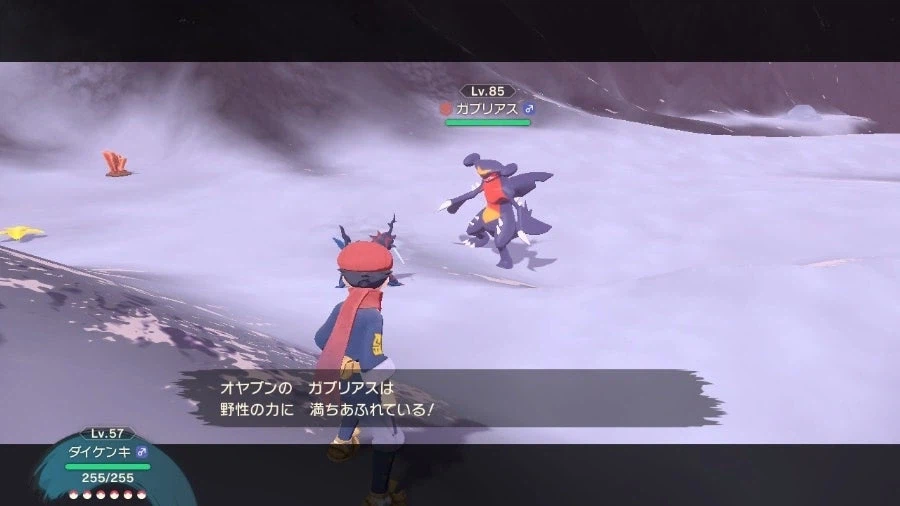 포켓몬. 어느 옛날 히스이지방의 한카리아스 아빠와 아들_1.webp