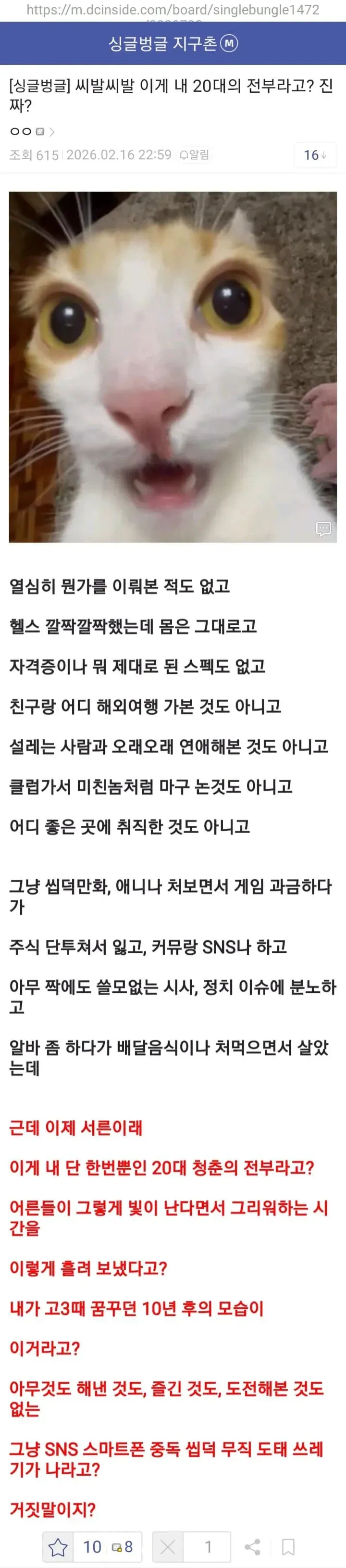 싱글벙글 30대가 된 디시인_1.webp