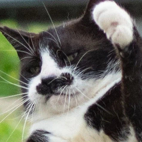 붉은사막이 고작 메타 78점이라니..그동안의 호들갑은 뭐였는지..큭큭_1.webp