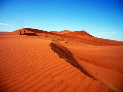 붉은사막의 한가지 사실_1.webp