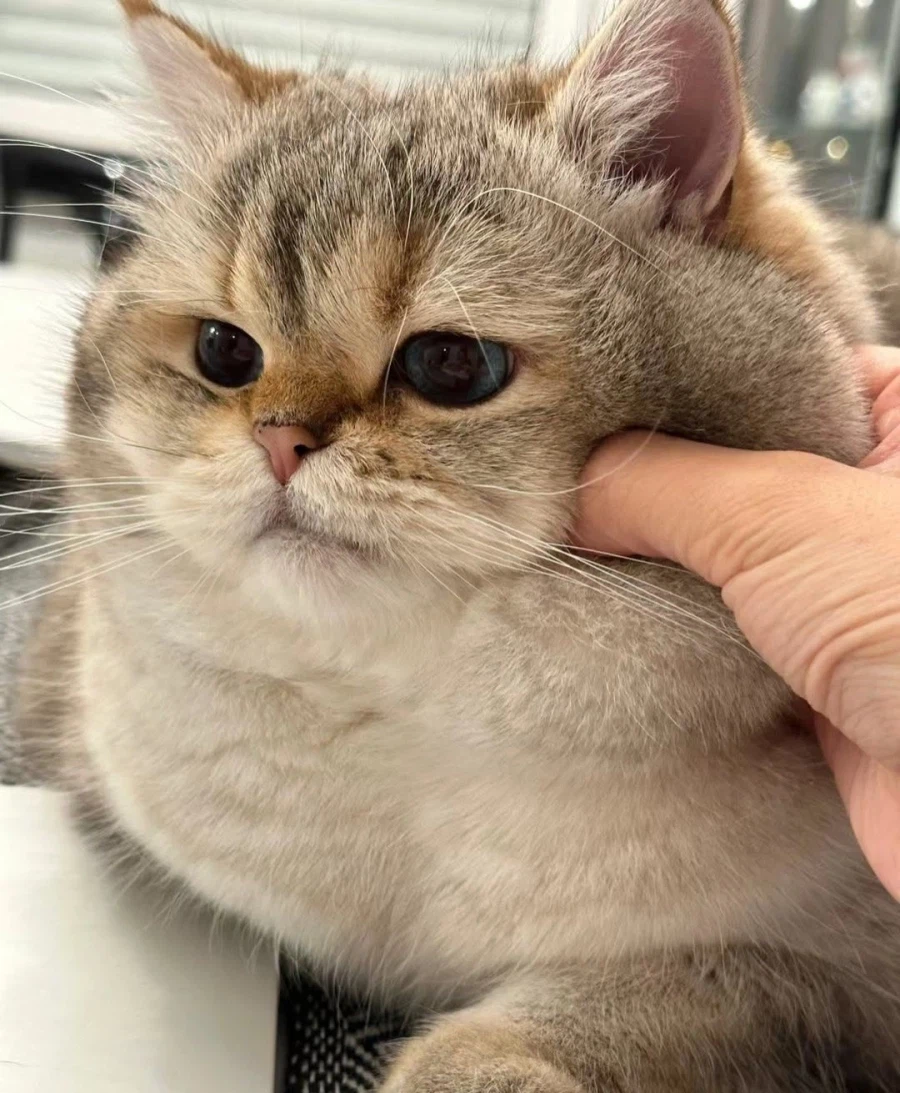 느그 아부지 머하시노??_1.webp