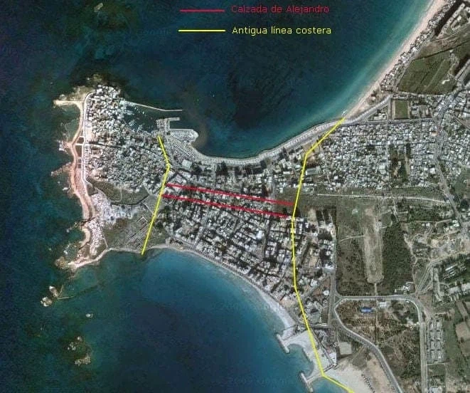 역사)이 정도는 해야 정복왕(알렉산더) 소리 들음_4.webp