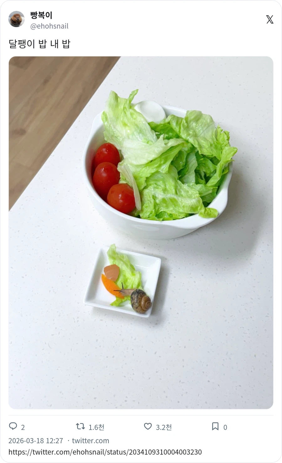 달팽이 밥 내 밥_1.webp