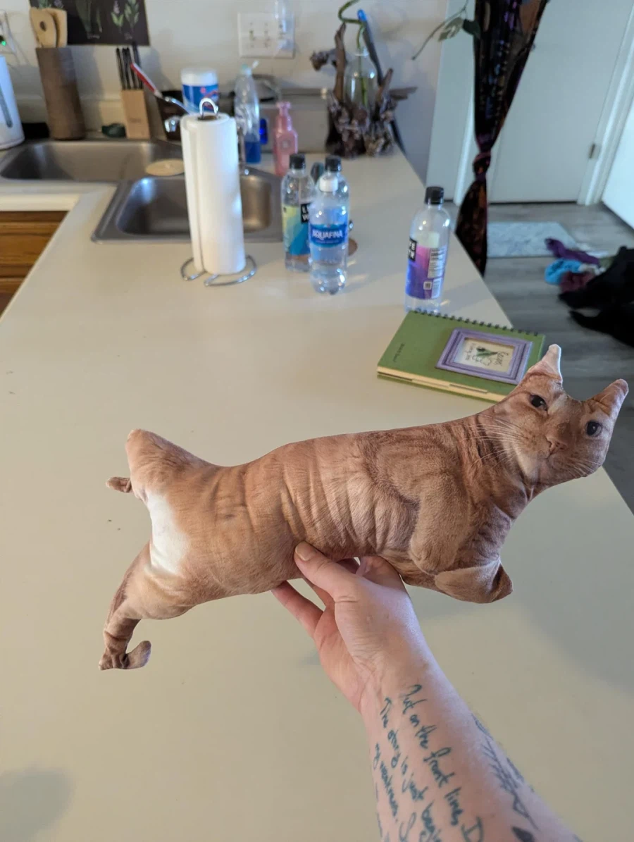 테무에서 구입한 고양이 인형_2.webp