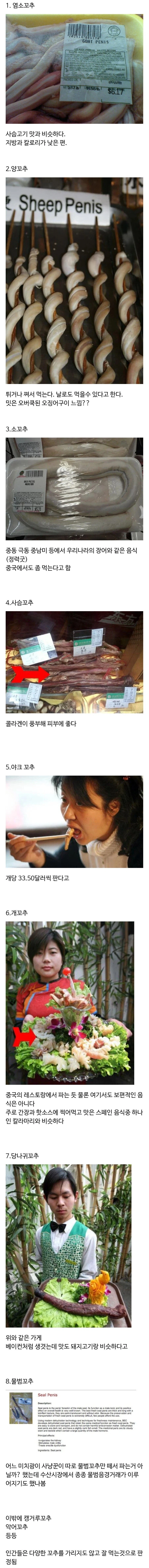 세계의 식용 고추들_1.webp