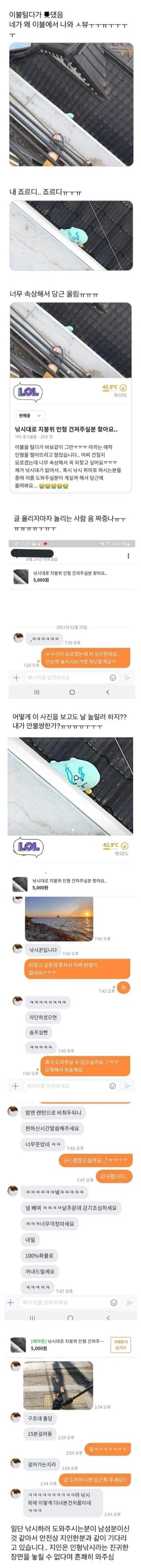 당근마켓에 죠르디 인형 구출의뢰함.jpg_1.webp