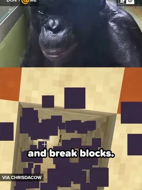 얘네를 동물원에 전시해도 되나 생각이 들었던 때_2.webp