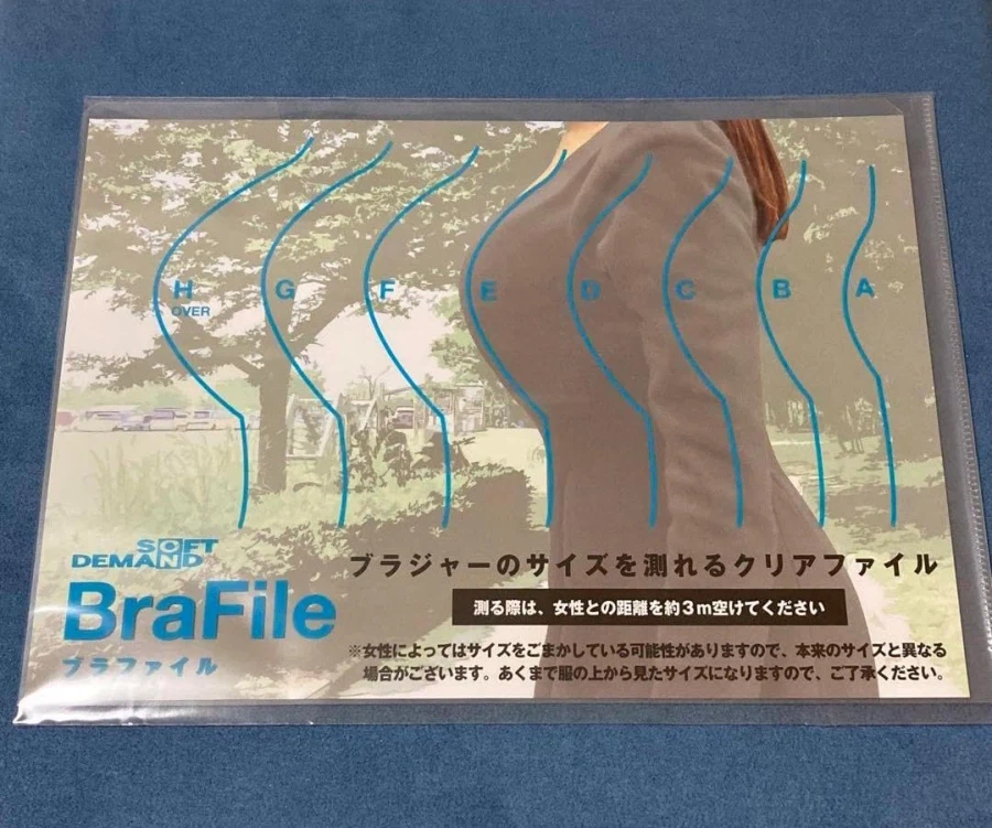 일본에 있다는 브라파일_1.webp